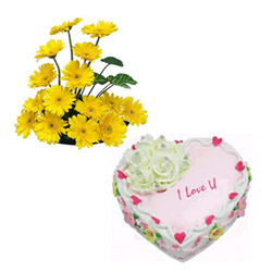 Bright Gerberas