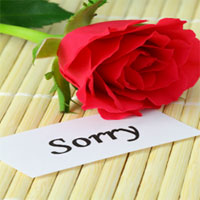 Sorry card  