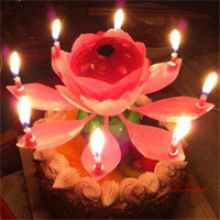 Musical Lotus Candle  
