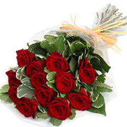Red roses bunch 