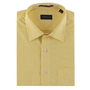 Branded Formal Striped Shirt