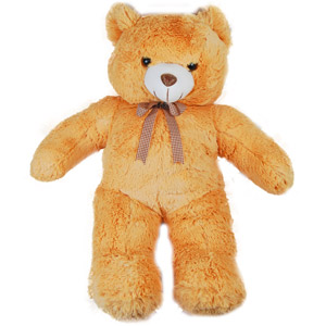 Big teddy
