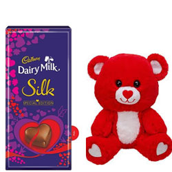 Teddy with Chocolate  